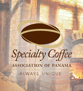 cafe panama asociacion