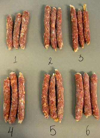 chorizo probiotico