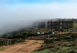 Cervaza Atrapaniebla agua niebla unica