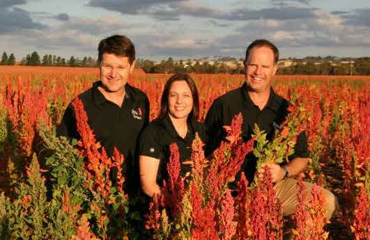 agricultores australiano quinoa
