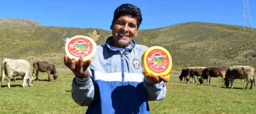 productor queso peru