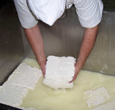 elavorando kefir queso