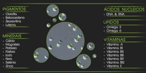 Microalgas ALLMA2