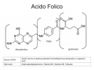 acido folico2