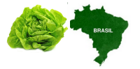 agricultura familiar brasil200x100