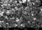 biotec nano particulas