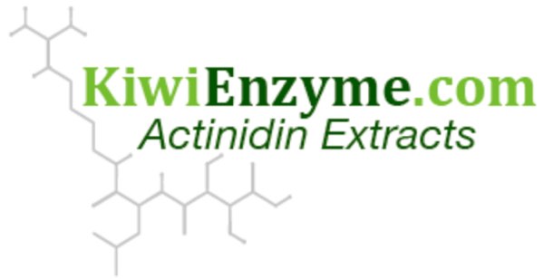 kiwi enzyme logo