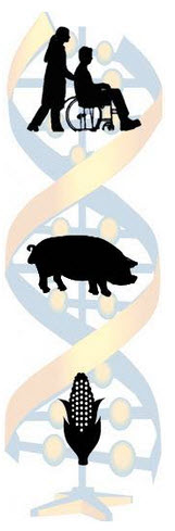 Biotech Spotlight Iowa
