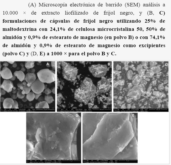 microscopia electronica de barrido