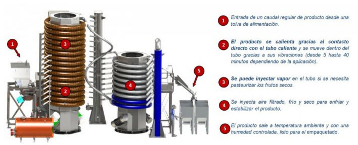 proceso pasteurizacion frutos secos