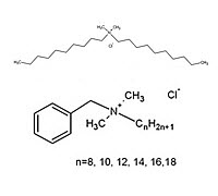 Betelgeux QAC alimentos