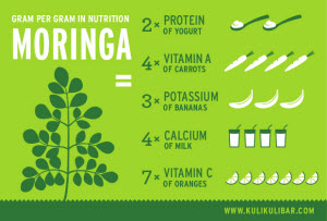 Kuli Kuli Moringa