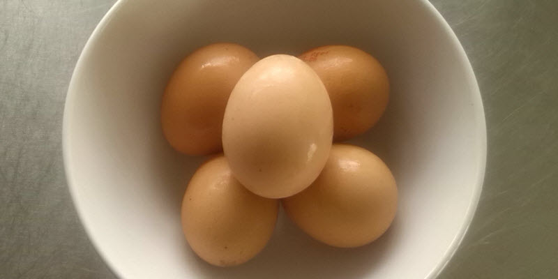 Universidad Granada cascara huevo