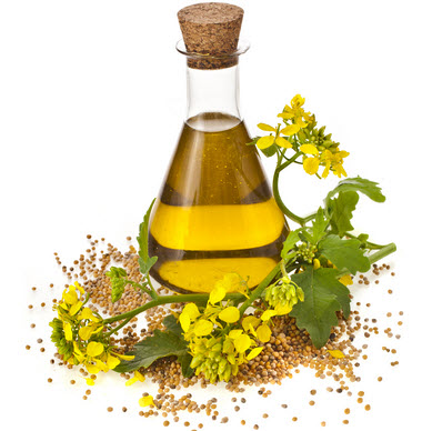 aceite canola