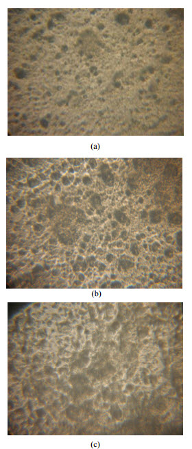 Imágenes microscopia