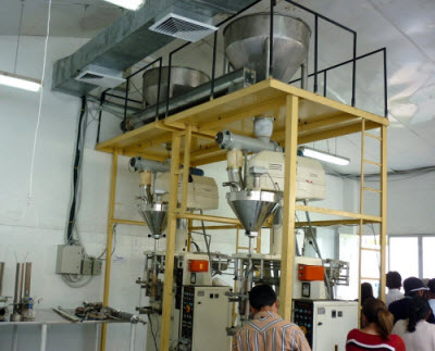 Planta Cartajeta