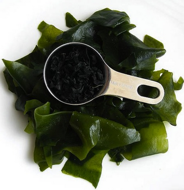 alga comestible espirulina