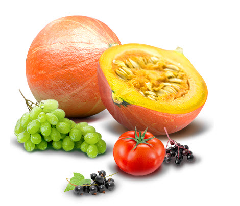 frutas y verduras GNT