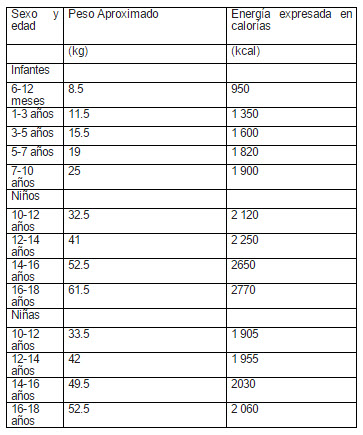 alimentacion ninos por edad