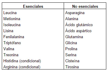 esenciales no esenciales