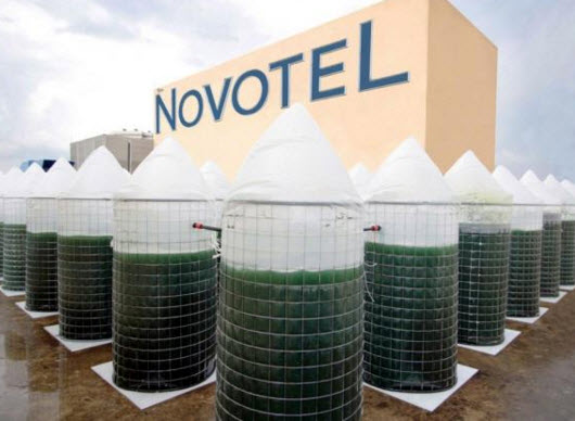 espirulina novotel