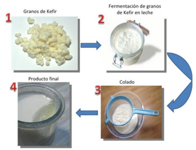 proceso granos Kefir