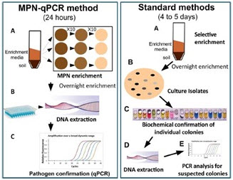 MPN QPCR detector patogenos