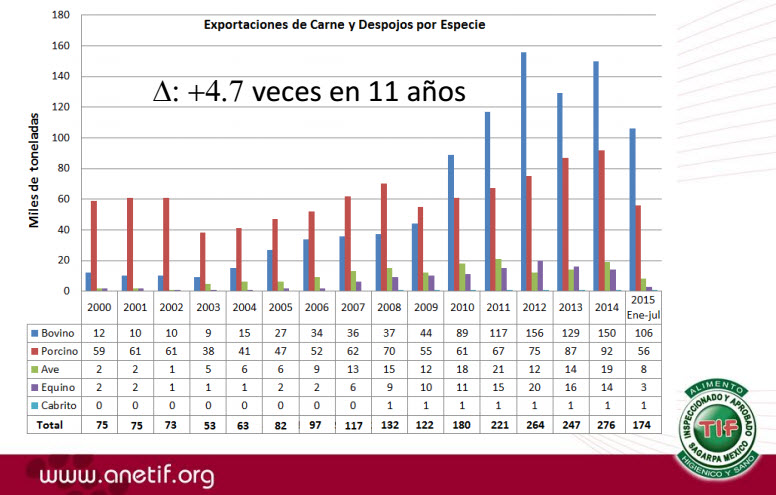 exportaciones carne despojos