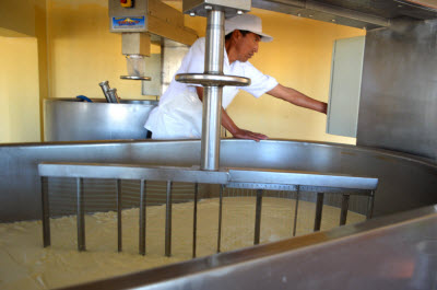 Produccion de queso Peru