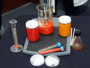 UNAM NANOSISTEMAS INGREDIENTES FUNCIONALES ALIMENTOS