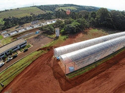 UNESP Lodo adubo organico Botucatu