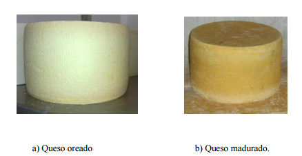 Queso Tepeque