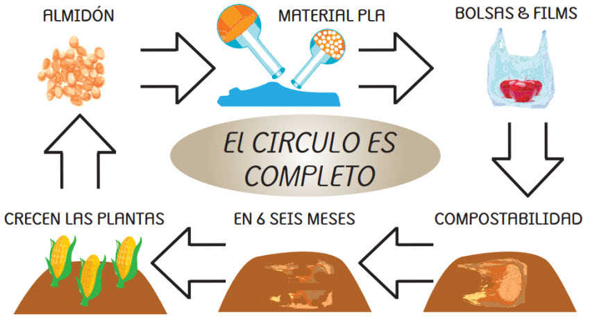 proceso envase compostable