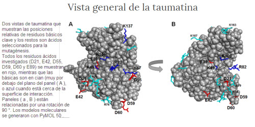 Vista General taumatina