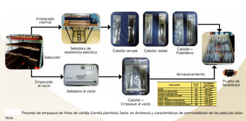 procesos del beneficiado vainilla envasado