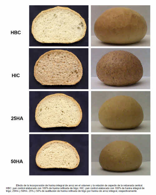efecto incorporacion harina trigo