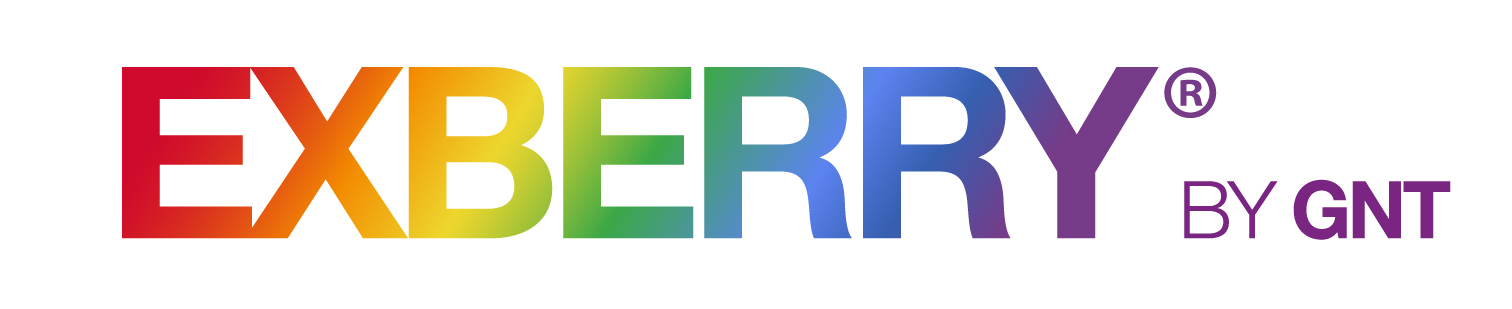 Exberry logo PP