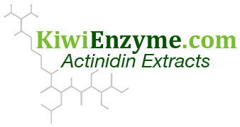 kiwi enzyme logo