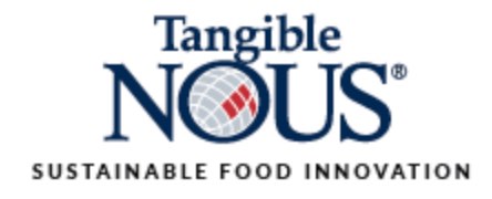 Logo Tangible NOUS