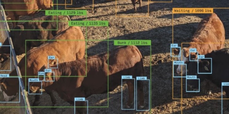 FoodNewsLatam - Inteligencia Artificial para mejorar la eficiencia de la industria  cárnica