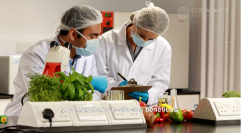 La revolución digital que redefine el origen y sabor de los alimentos